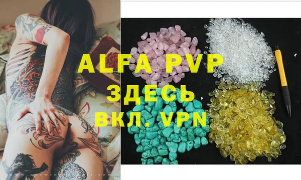 стафф Алзамай