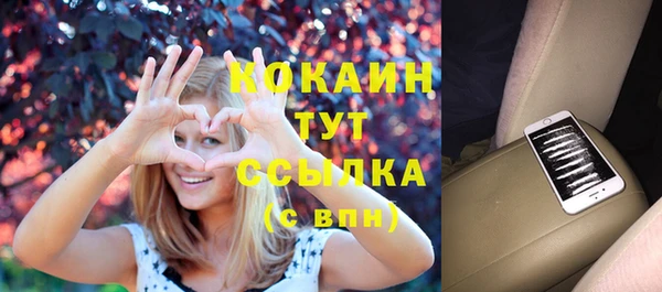 стафф Алзамай