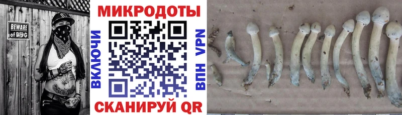 hydra вход  Пласт  Псилоцибиновые грибы Psilocybe 